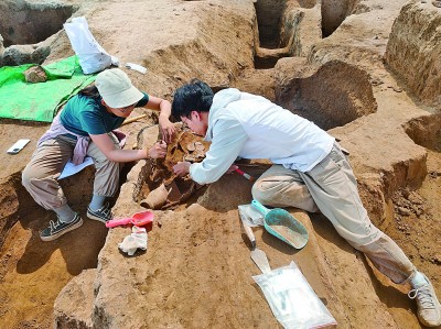楚湾遗址考古实习记