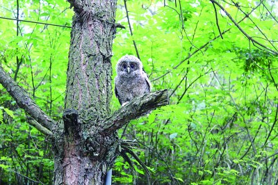 重庆黔江小南海国家地质公园：湖光山色美 土家风情浓