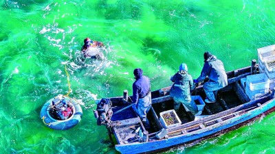 辽宁大连普兰店区：山海着丰色 乡村谱新篇