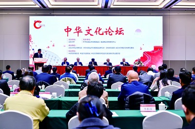 高擎文化火炬 照亮前行道路——两岸学者共话两岸文化交流与融合发展