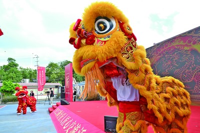 高擎文化火炬 照亮前行道路——两岸学者共话两岸文化交流与融合发展