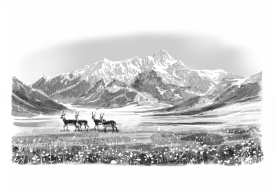 雪域高原的生命诗行