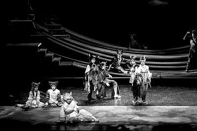 为什么是这些作品赢得文华大奖？