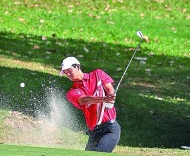 大球小球好戏连台 老将新秀泳池对决