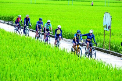 打造“乡土之美”升级版——关于农文旅融合赋能乡村全面振兴的调研与思考