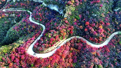 观景赏艺 一路芬芳燕赵间——河北深化文旅改革激发消费潜力