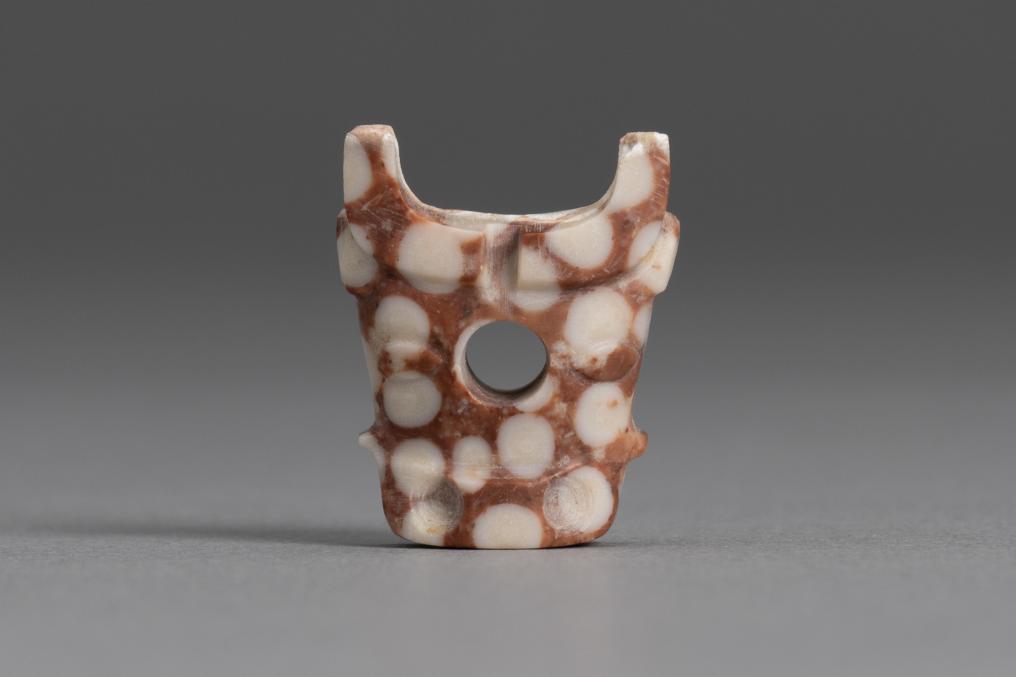 陕西公布富平长春遗址白家墓地发掘成果