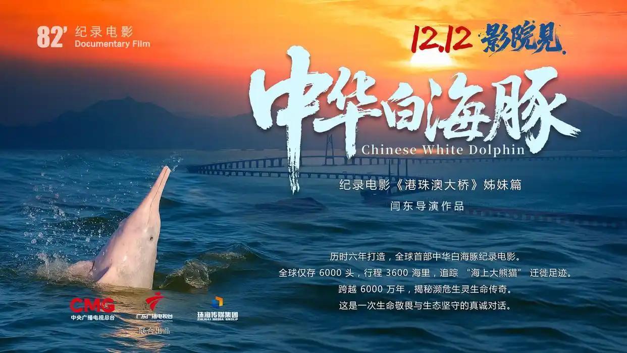 强国影视观察|生命纪事：从珠江口到人类未来——专访纪录电影《中华白海豚》总导演闫东
