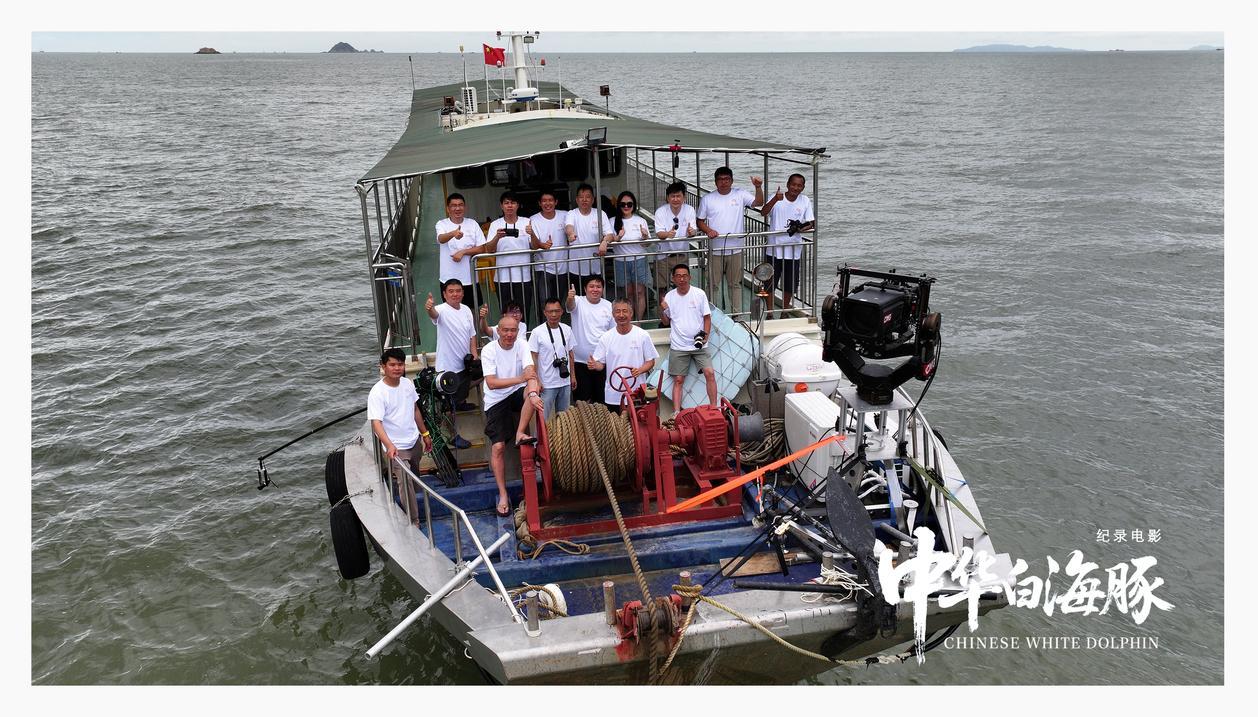 强国影视观察|生命纪事：从珠江口到人类未来——专访纪录电影《中华白海豚》总导演闫东