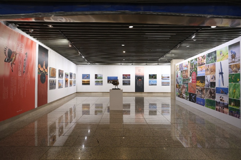 北京国际摄影周2025：影像融入城市血脉 艺术融汇世界风尚