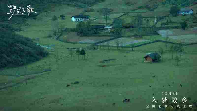 聆听一曲故土与记忆的银幕挽歌 《野果之歌》将于12月2日登陆全国艺联