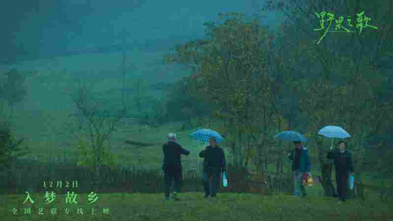 聆听一曲故土与记忆的银幕挽歌 《野果之歌》将于12月2日登陆全国艺联