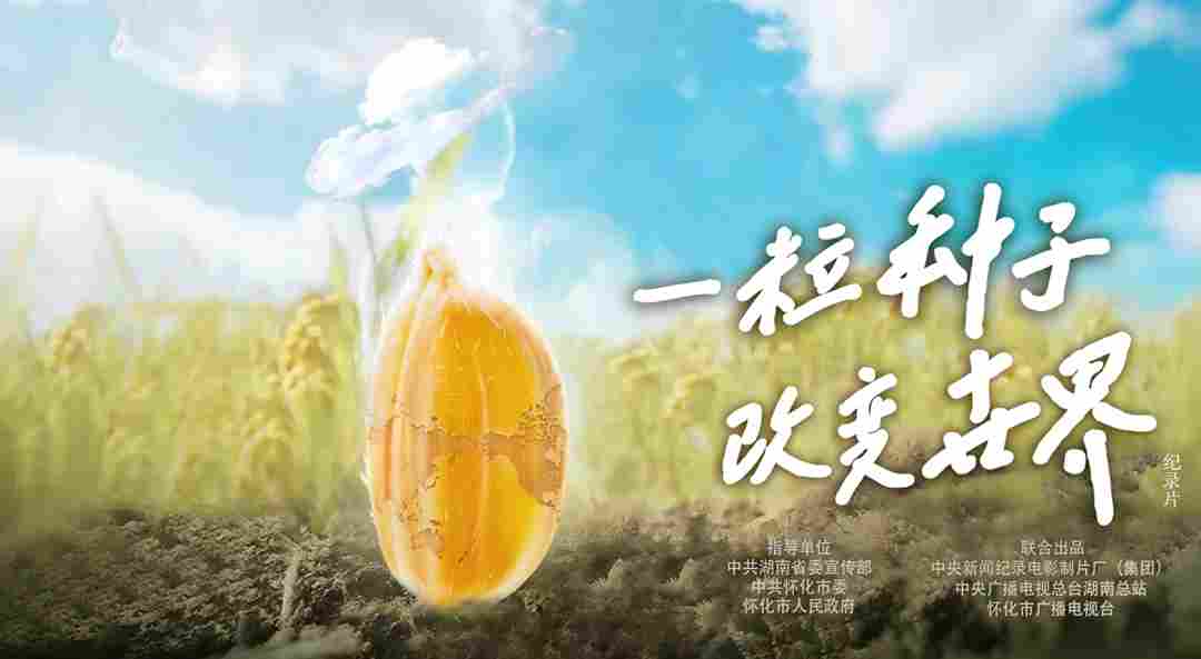 稻浪千里 禾下苍穹｜纪录片《一粒种子改变世界》即将播出