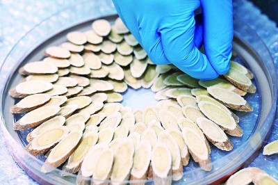 药香伴旅程：一张文旅融合的“中国方”