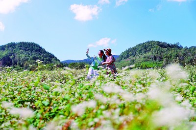 药香伴旅程：一张文旅融合的“中国方”
