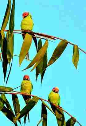 与自然之美相逢——走近记录自然的青年摄影师