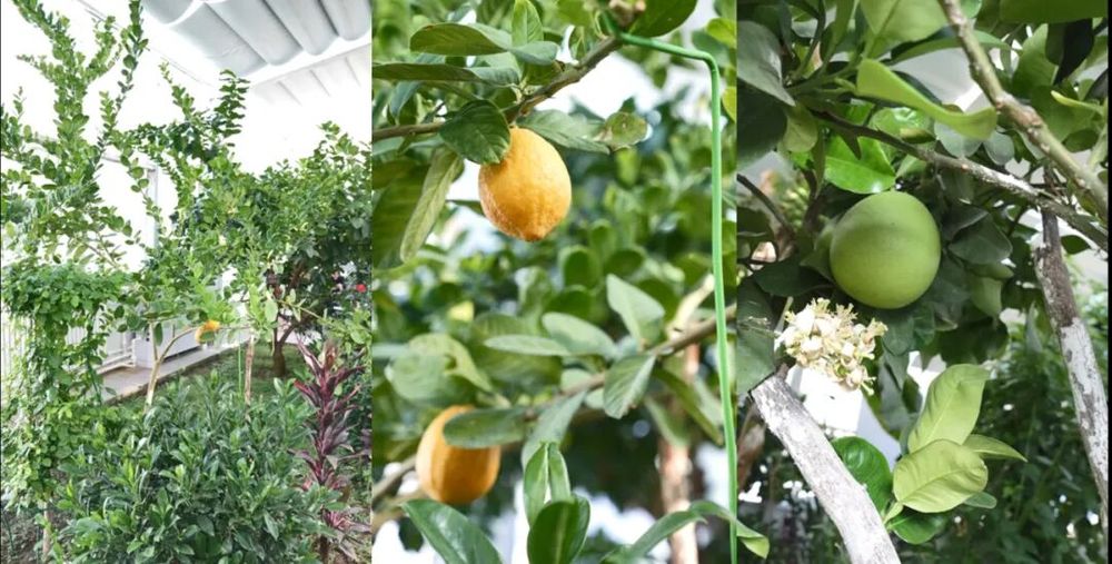 我站立的地方是中国——走进帕米尔高原“生命禁区”