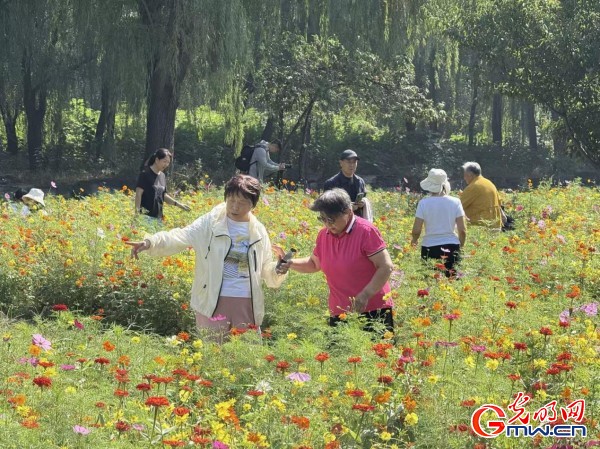 何以中国·理想都城｜数字化技术再现圆明园昔日辉煌盛景