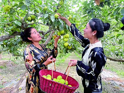 【砥砺奋进七十载 天山南北谱华章】在新疆，一路风景一路歌