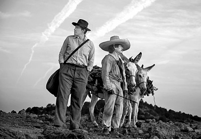 影视化浪潮中的拉美文学经典