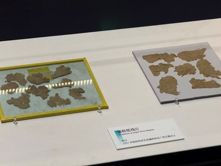 数智文遗陕西行｜从华夏宝库看灿烂秦汉文明