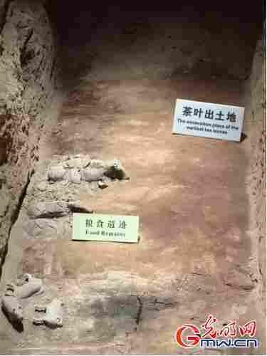 数智文遗陕西行丨从汉室陵阙看昔日文景盛世