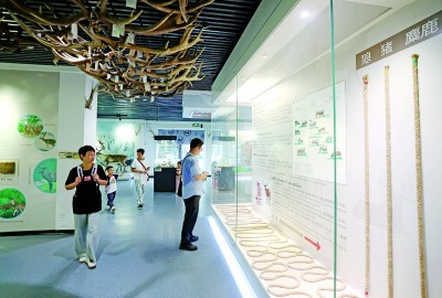 从“数量领跑”到“品质出圈”——北京高质量建设博物馆之城释放文化力量