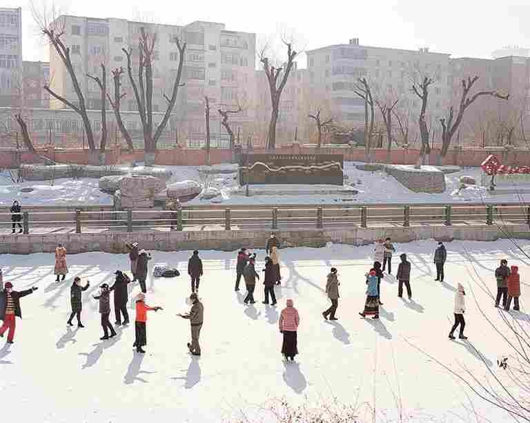 冰雪之上 生机勃勃