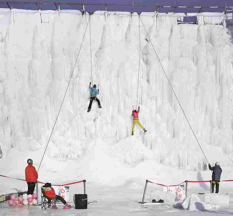 冰雪之上 生机勃勃