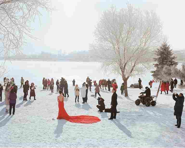 冰雪之上 生机勃勃