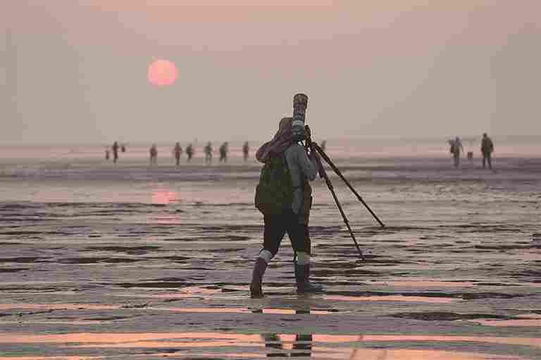 中国黄（渤）海候鸟栖息地：人与自然的和谐交响