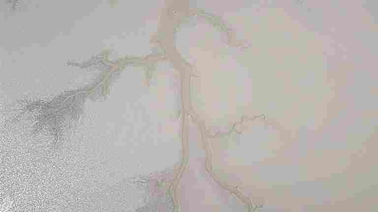 中国黄（渤）海候鸟栖息地：人与自然的和谐交响