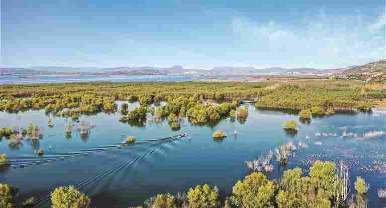 河南淅川：丹江湿地 候鸟乐园