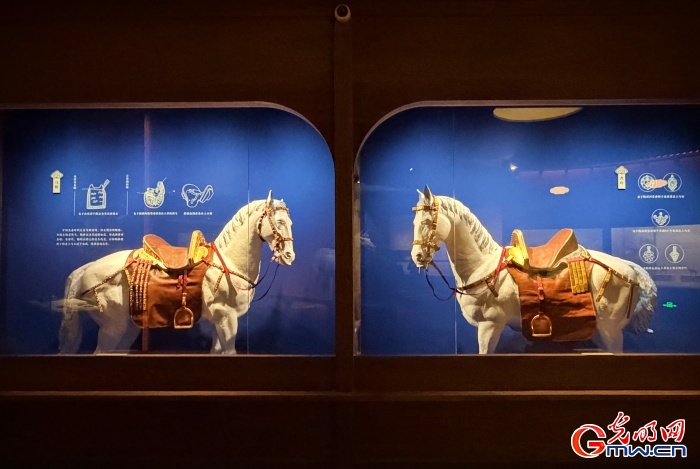 【组图】马騳骉騛……这场文化展“万马奔腾”