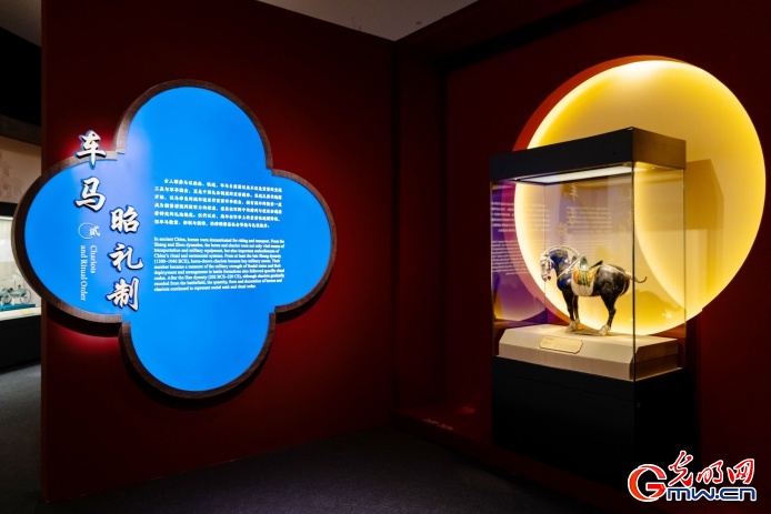 【组图】马騳骉騛……这场文化展“万马奔腾”