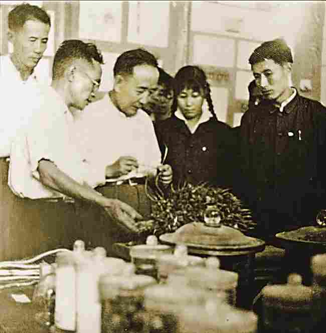 跟着郭沫若、茅盾游海南