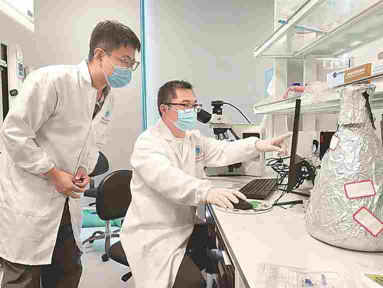 这个春节,我陪种子在海南 这个春节,我陪种子在海南