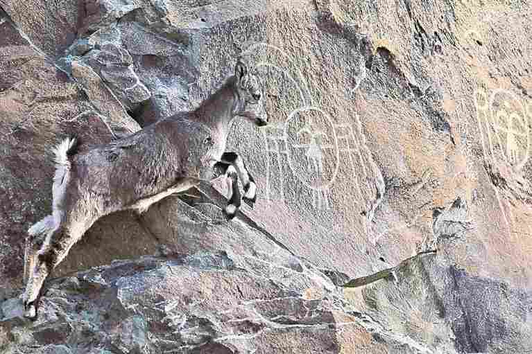 万年“画廊”遇见数字流光