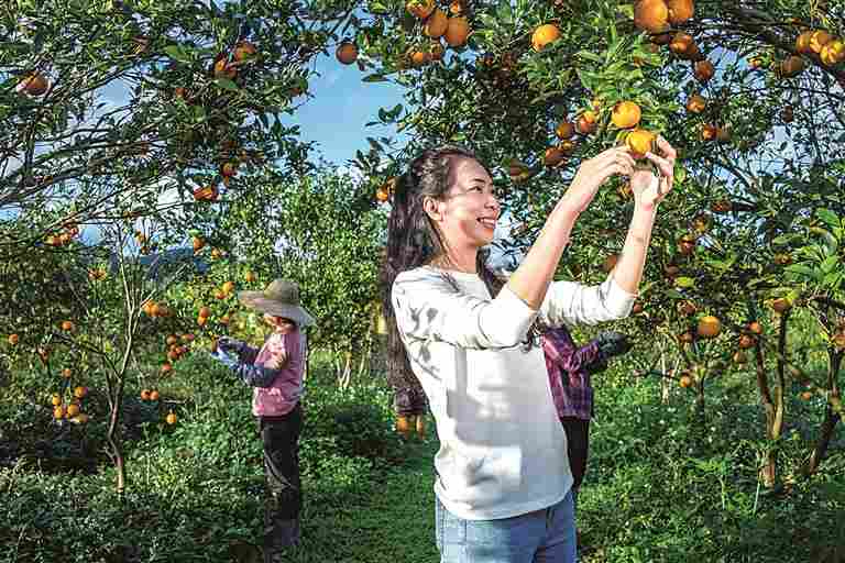 看，新春那些新变化