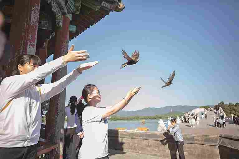 守护飞鸟，你我皆是同路人