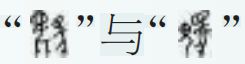 “因物取象 以用定名”——甲骨文中马的种类与命名