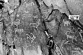 “车到此”的实证问题