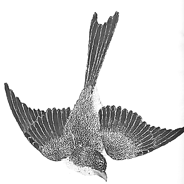 回归传统的再出发——《志怪：“子部小说”知识史研究》读后感