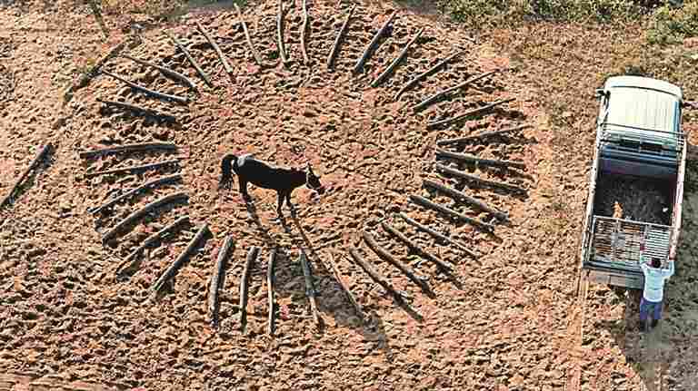 内蒙古乌审旗：草原蹄鼓踏流韵