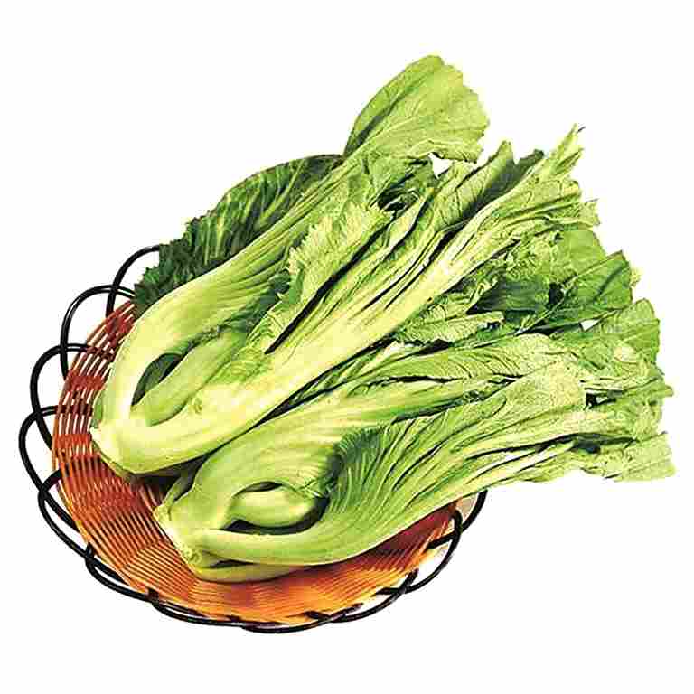 光明文化周末：菜重芥姜