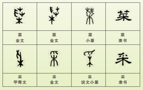 光明文化周末：菜重芥姜