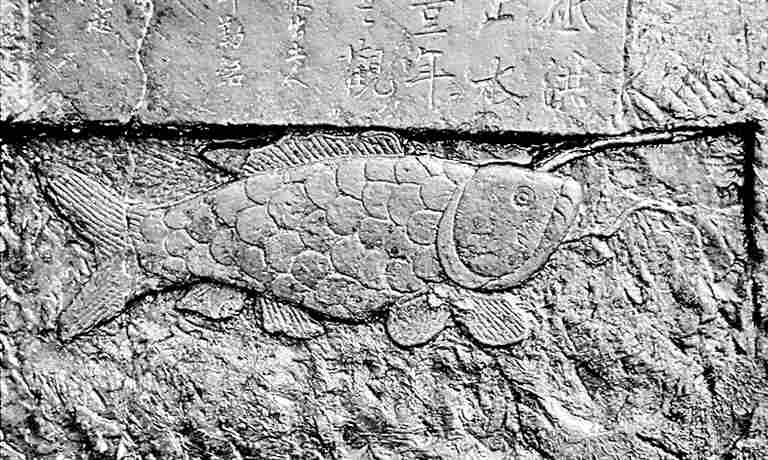 中埃联合申遗 千年水位刻度中的古代智慧