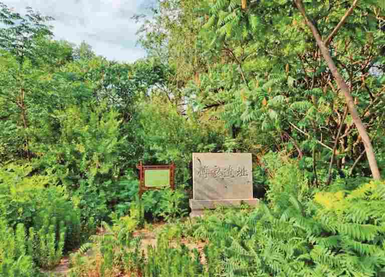 史前母系社会什么样？——古DNA技术还原傅家遗址母系社会面貌