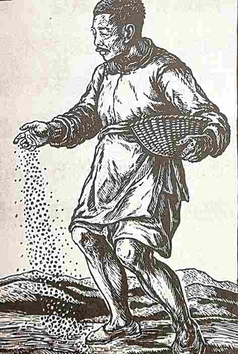 鲁迅的面容映照百年变迁