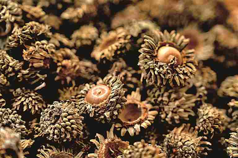 从玄皂到元青——黑的色彩文化史